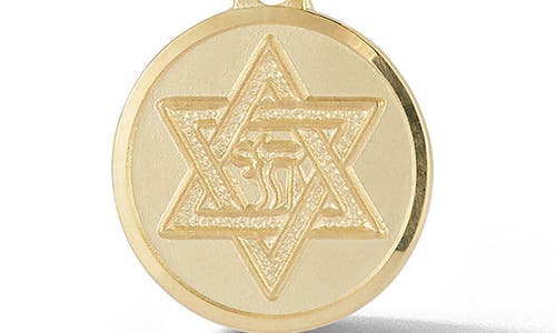 Ember Fine Jewelry 14k Yellow Gold Small Star Of David Medallion Pendant Necklace In Gold