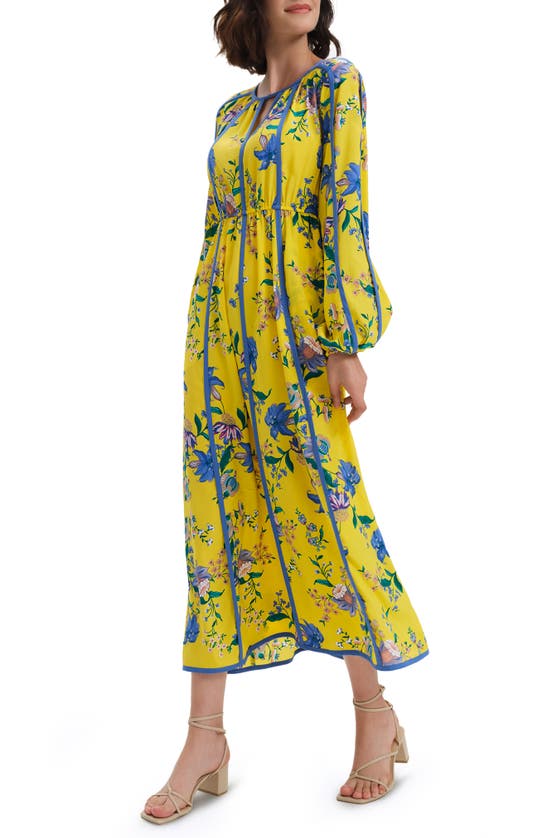 Diane Von Furstenberg Scott Floral-print Blouson-sleeve Maxi Dress In Yellow