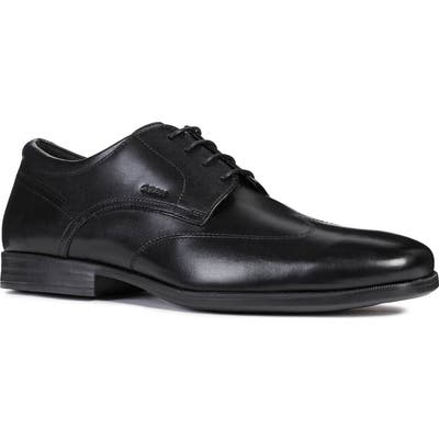 Geox Calgary Plain Toe Derby, Black