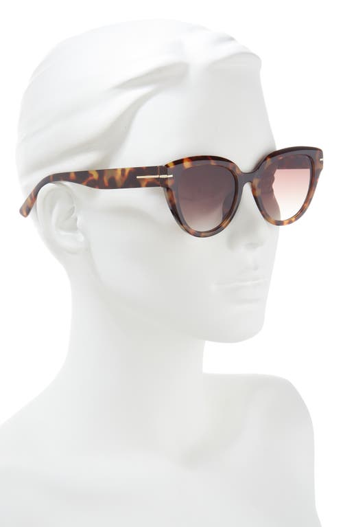 Shop Bp. 53mm Cat Eye Sunglasses In Tortoise