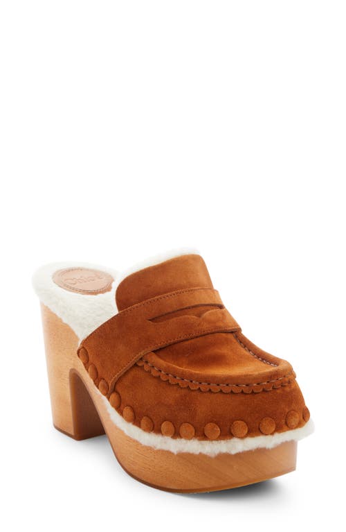 Chloé Joy Clog with Genuine Shearling Lining in Caramello