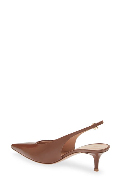 Shop Gianvito Rossi Tokio Pointed Toe Slingback Pump In Havana