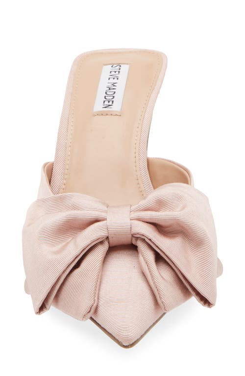 Steve Madden Ander Pointed Toe Kitten Heel Mule In Pink
