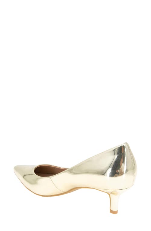 Bcbg Dovi Pointed Toe Pump In Platino