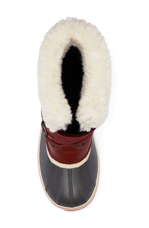 Sorel Winter Carnival Waterproof Boot In Spice/ Gum