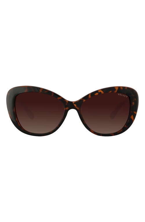 Chrystie 55mm Cat Eye Sunglasses in Dark Tortoise
