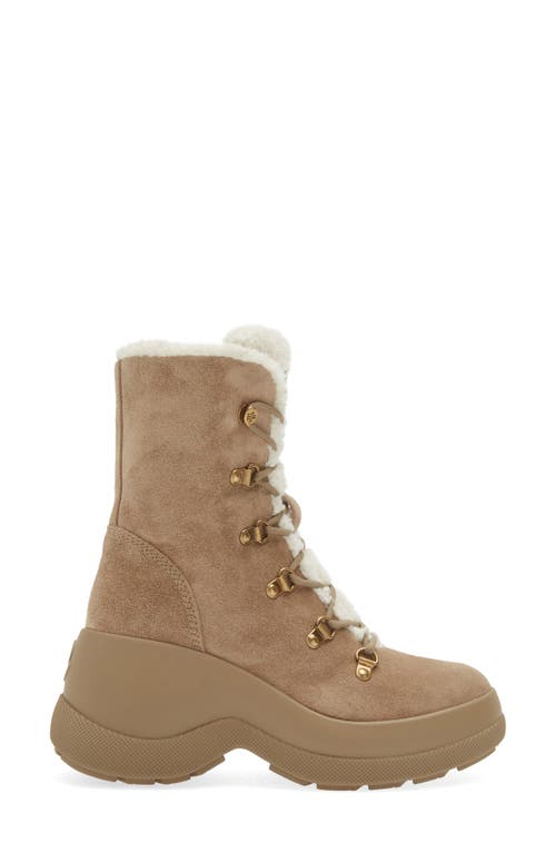 Moncler Resile Trek Sherpa-lined Suede Ankle Boots In Coriander