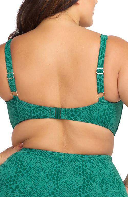 Shop Artesands Ekhis Delacroix Bikini Top In Green