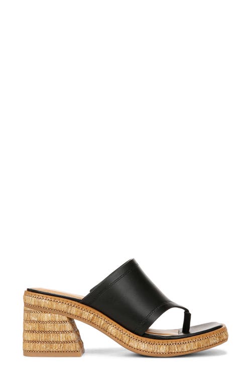 Sarto By Franco Sarto Ferrara Espadrille Platform Sandal In Black
