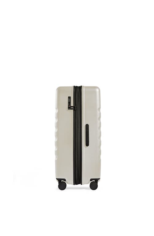 Antler Icon Stripe Large Suitcase In Taupe