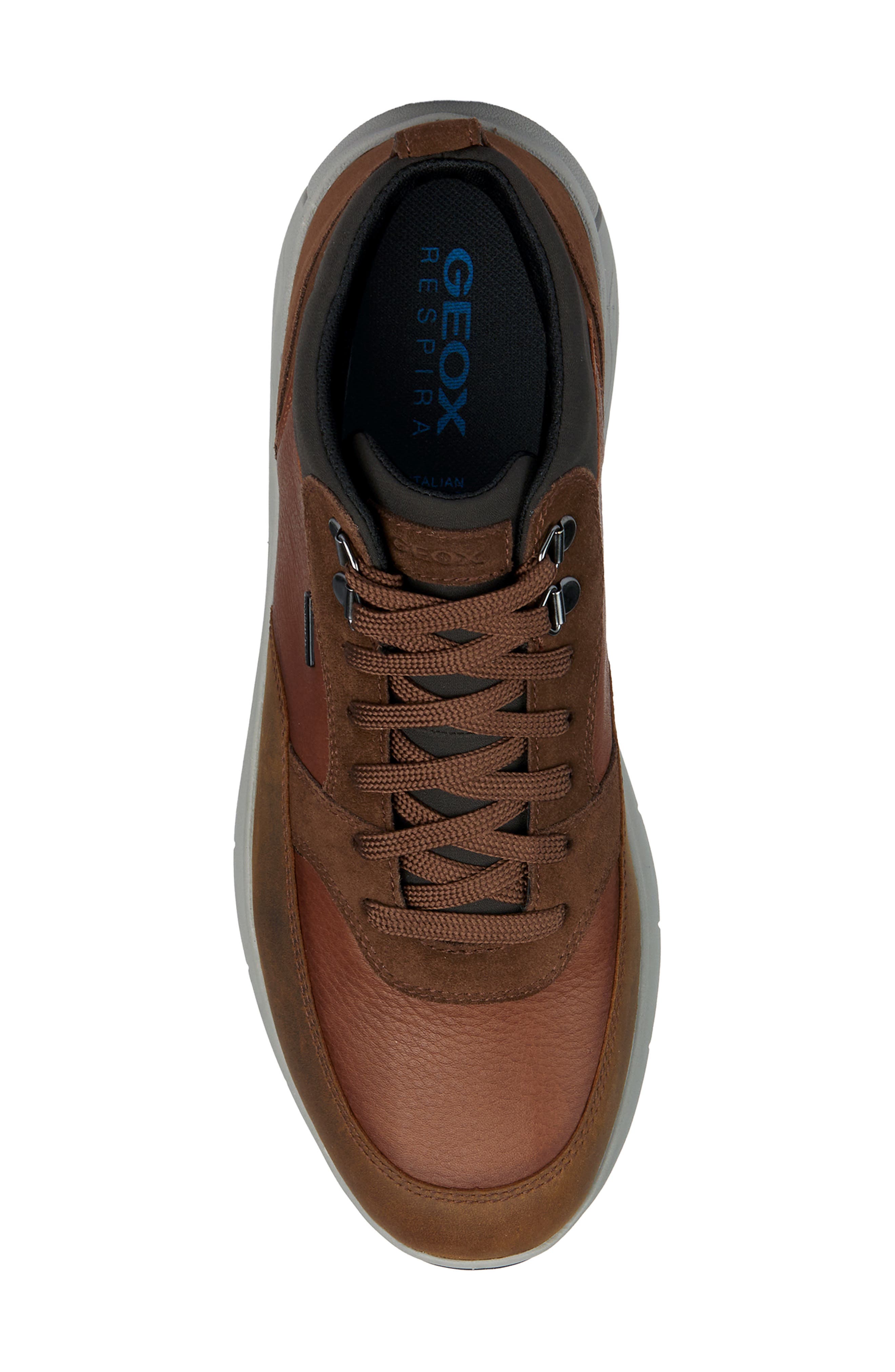 Geox Spherica Waterproof High Top Sneaker (Men) Nordstrom