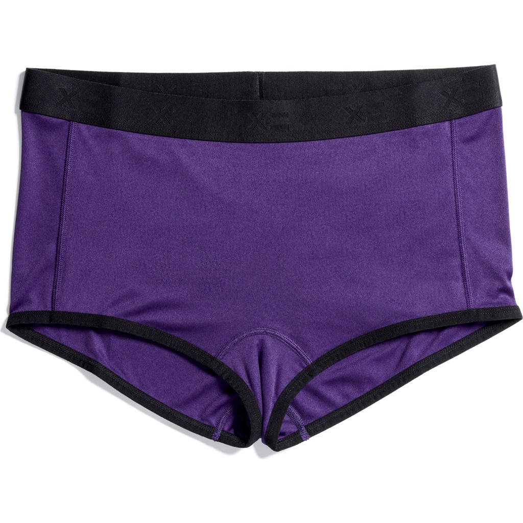 TomboyX Tucking Boyshorts in Ghostly Grape