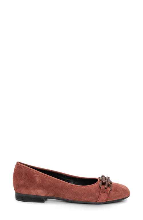 Ara Scout Chain Ballet Flat In Terra