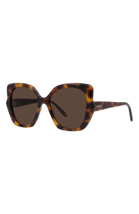 Shop Loewe Thin 55mm Geometric Sunglasses In Dark Havana / Brown