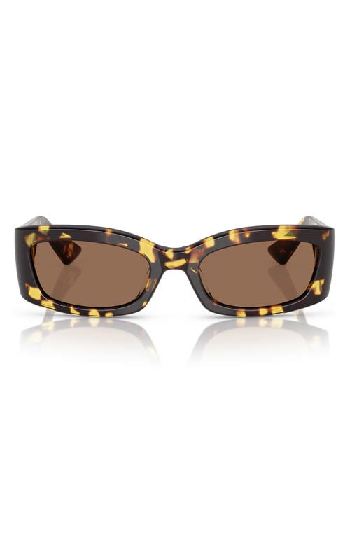Oliver Peoples X Khaite 54mm Pillow Sunglasses In Dark Brown