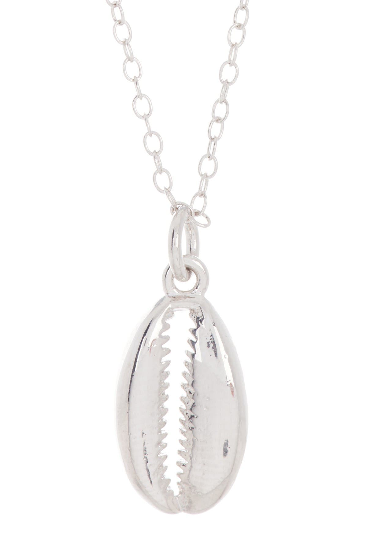 White Dosinia Shell on a Silver Chain Necklace