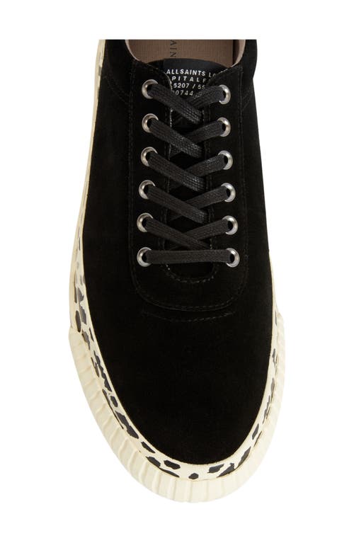 Allsaints Knox Sneaker In Black Leopard