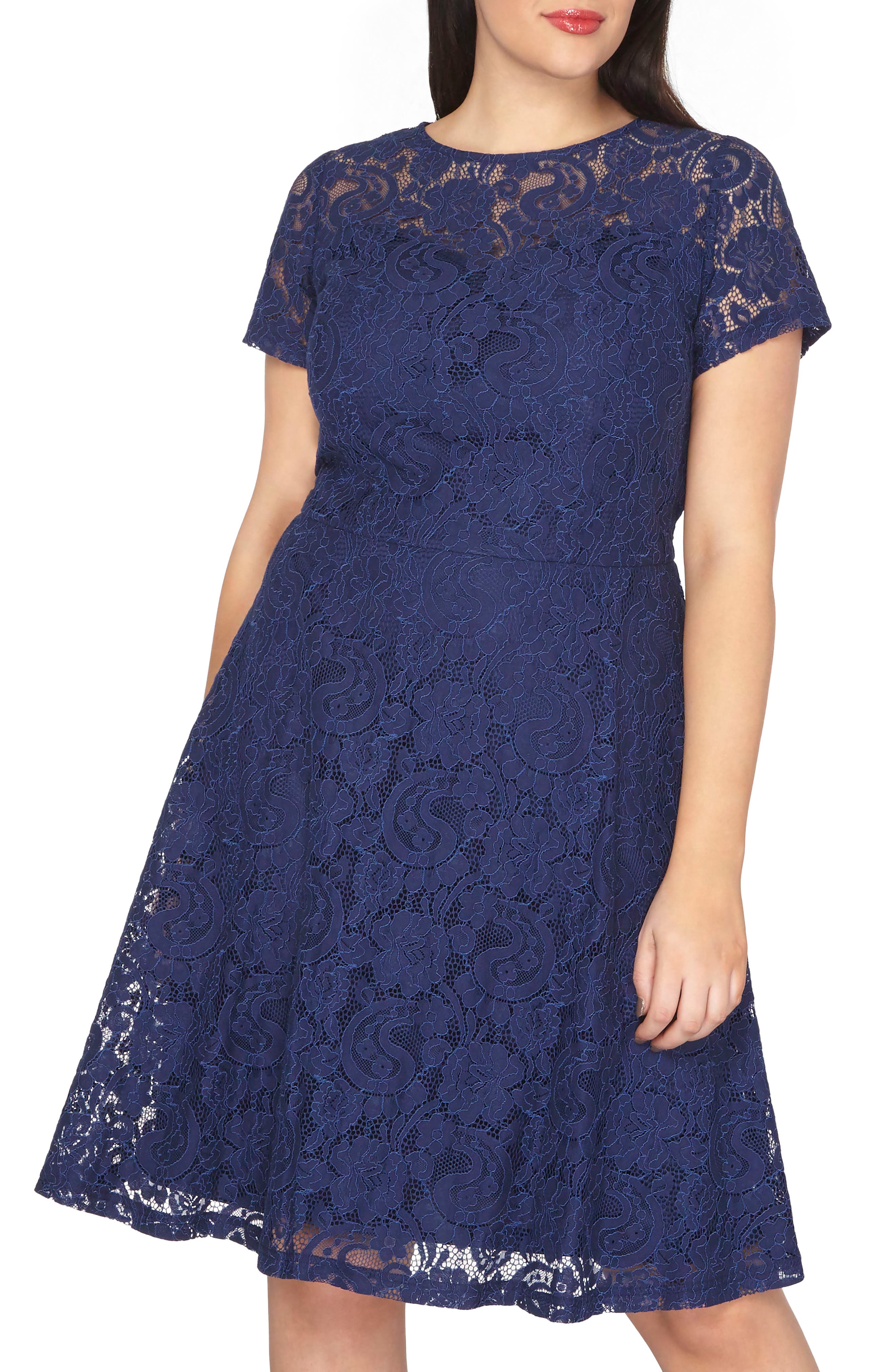 Dorothy Perkins Lace Fit & Flare Dress (Plus Size) Nordstrom