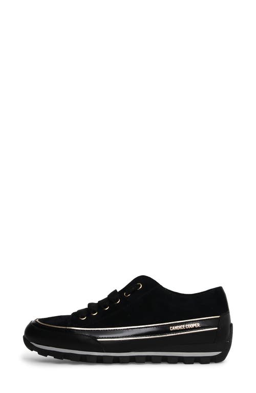 Shop Candice Cooper Janis Strip Sneaker In Black