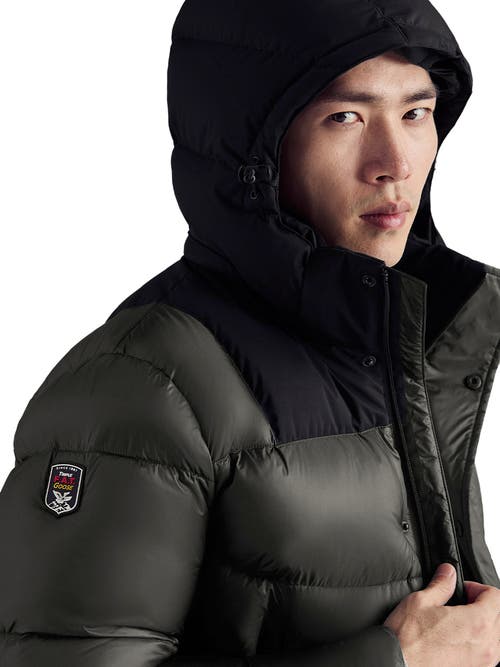 Triple F.a.t. Goose Puffer Down Jacket In Olive
