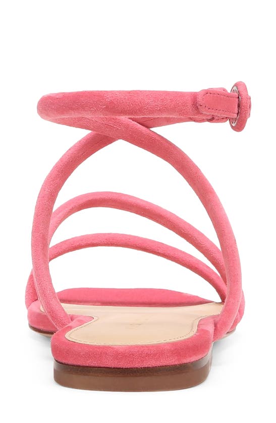 Shop Veronica Beard Maci Sandal In Coral