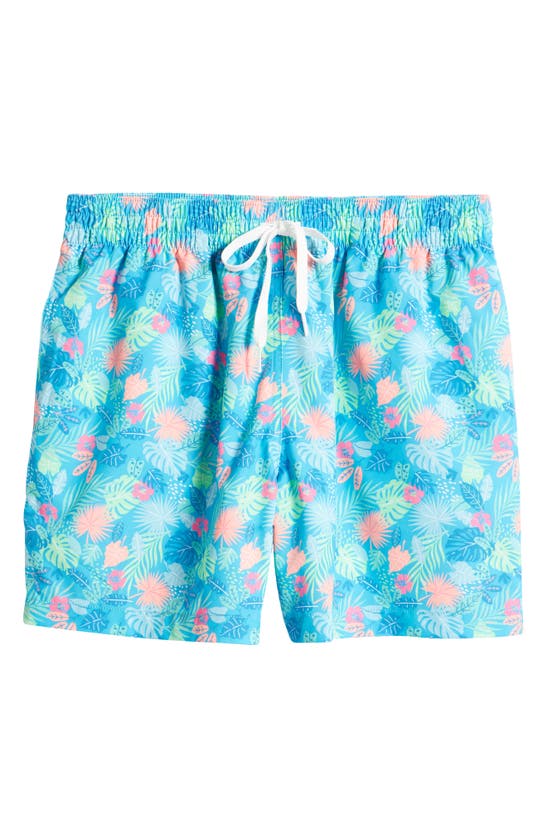 Shop Chubbies The Apex Swimmers Swim Trunks In The Wild Tropics