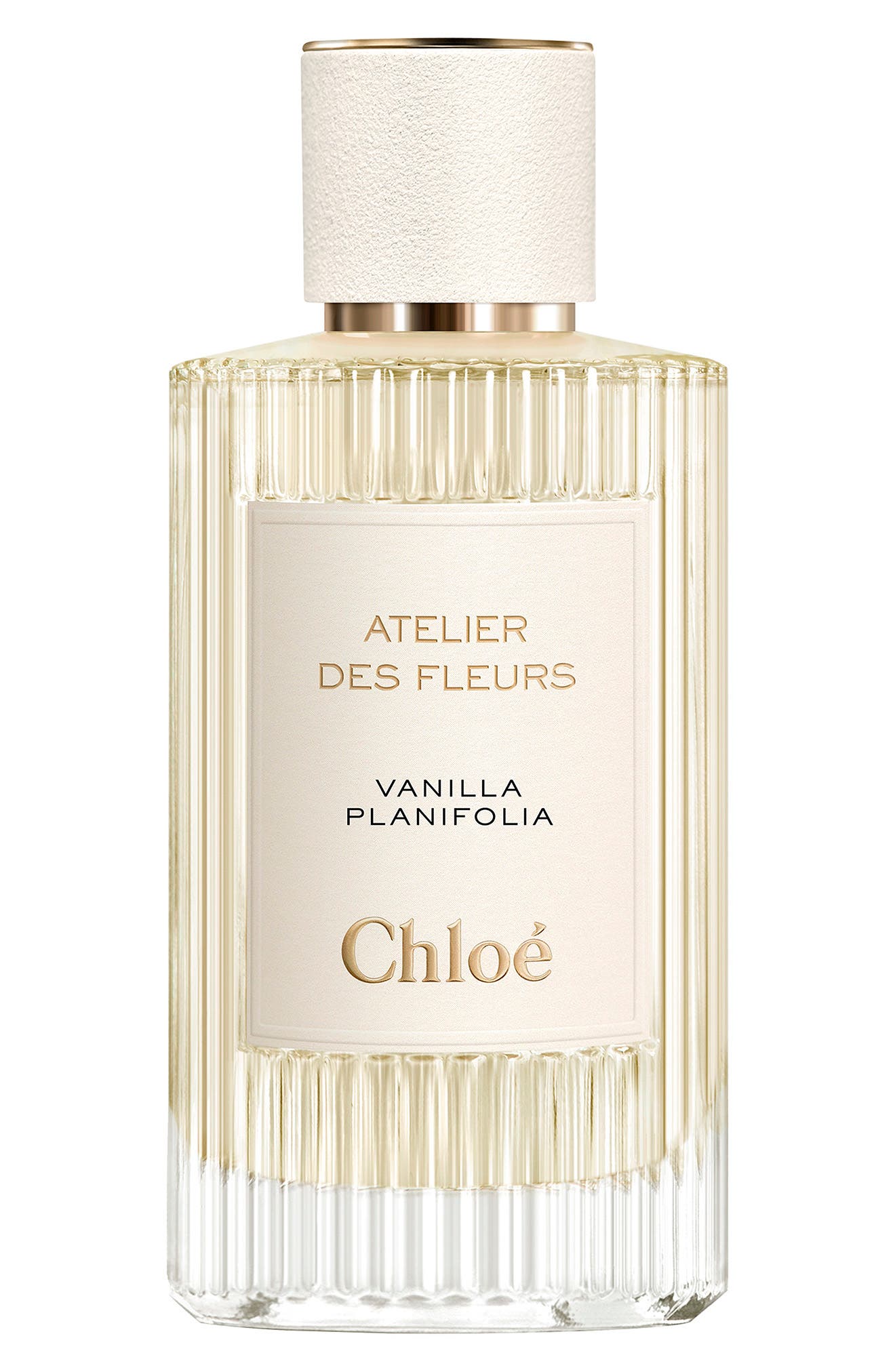 atelier de fleur chloe