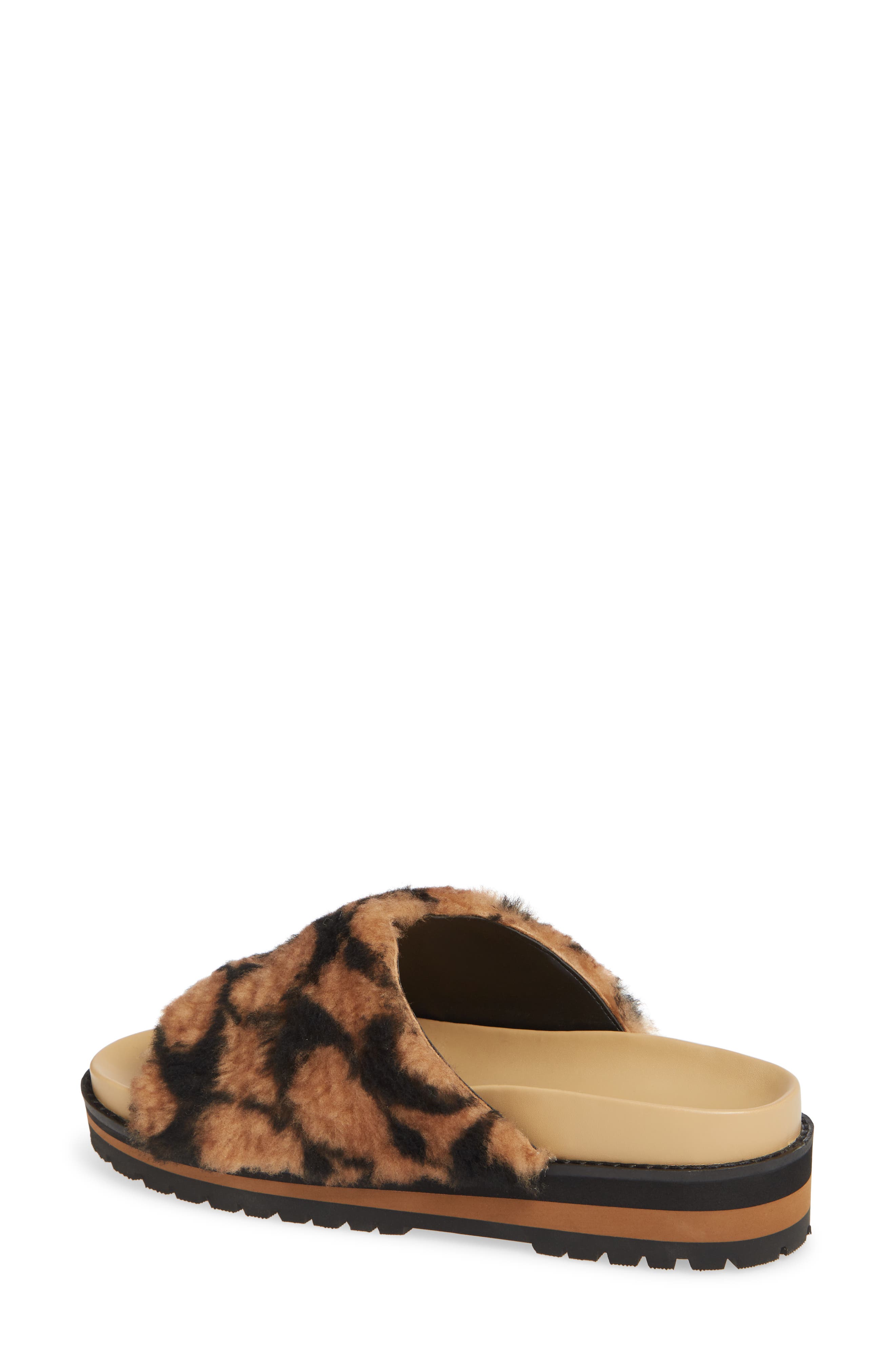 kloe slide coach