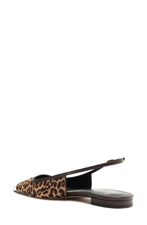 Shop Alexandre Birman Olivia Genuine Calf Hair Cap Toe Slingback Flat In Testa Di Moro