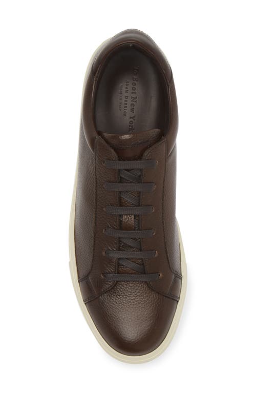 To Boot New York Men's Pescara Leather Low-top Sneakers In Brown