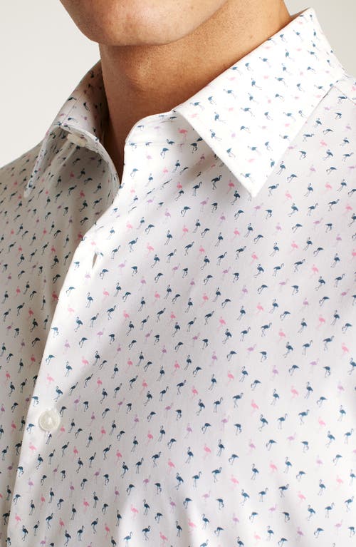 Shop Bonobos Flamingo Print Short Sleeve Performance Button-up Shirt In Phil Flamingo C33