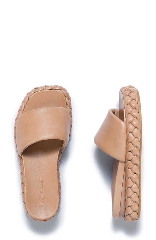 Shop Bernardo Footwear Charleston Slide Sandal In Birch