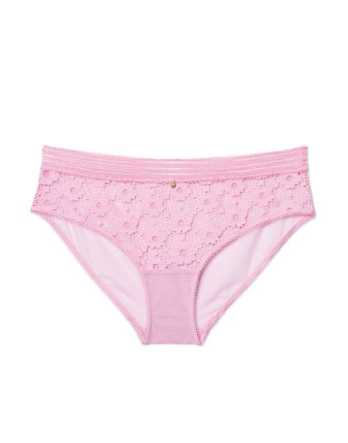 Adore Me Nolie Hipster Panties In Medium Purple