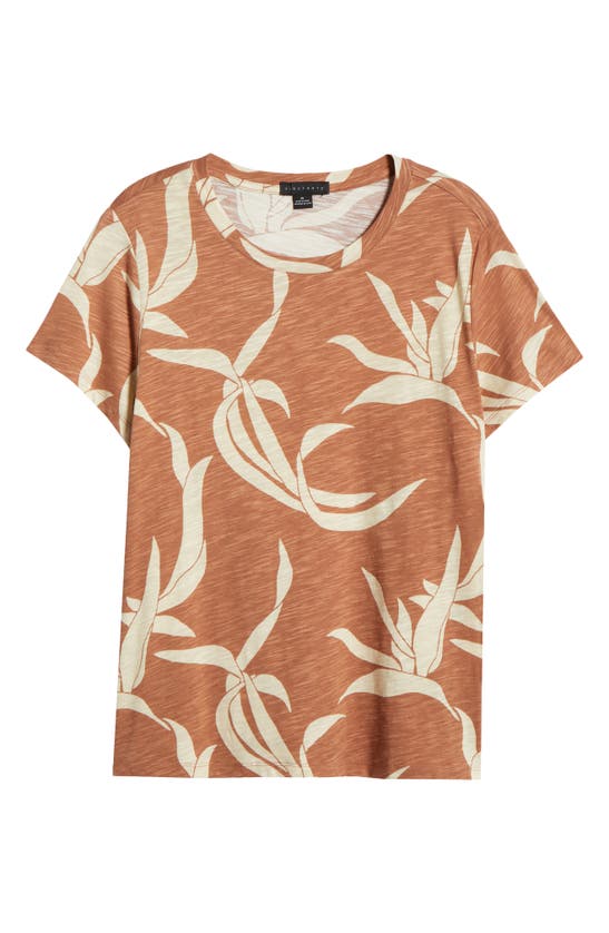 Shop Sanctuary The Perfect T-shirt In First Bloom
