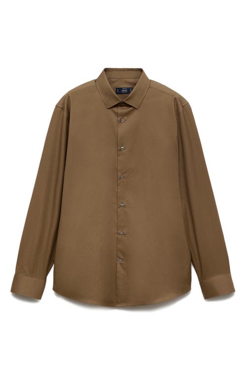 Shop Mango Regular Fit Cotton Button-up Shirt In Brown