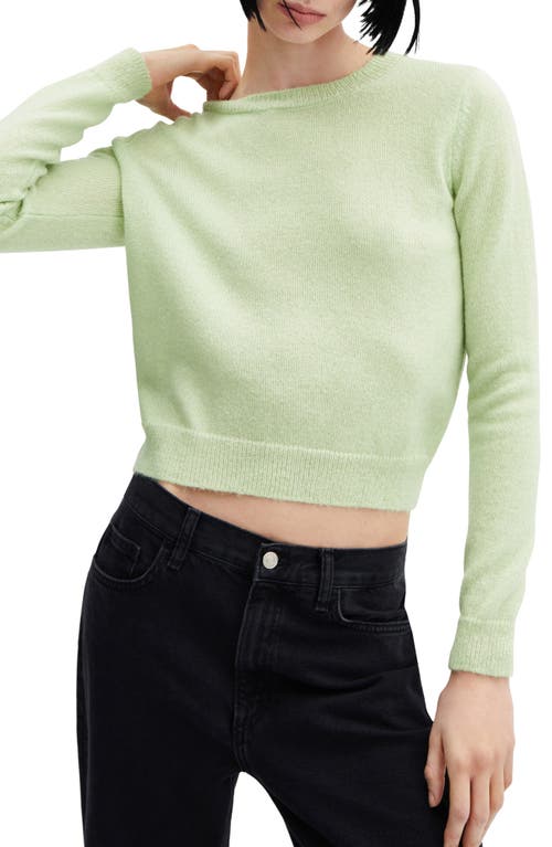 MANGO Crewneck Crop Pullover Sweater Pastel Green at Nordstrom,