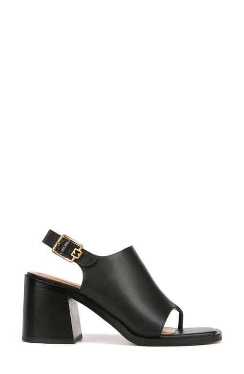 SARTO BY FRANCO SARTO SARTO BY FRANCO SARTO ATLAS SLINGBACK SANDAL 