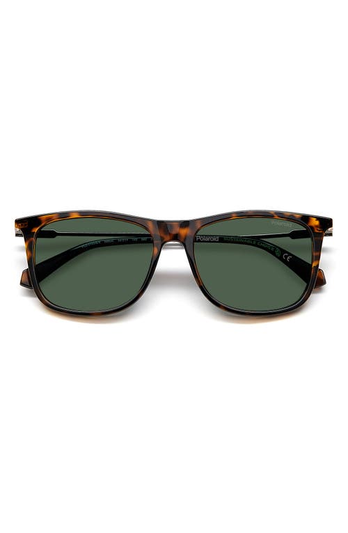 Polaroid 55mm Polarized Rectangular Sunglasses In Brown