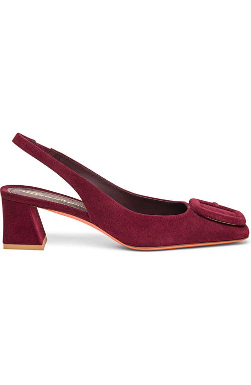 Santoni Women's Lemon Suede Sling Back in Burgundy 