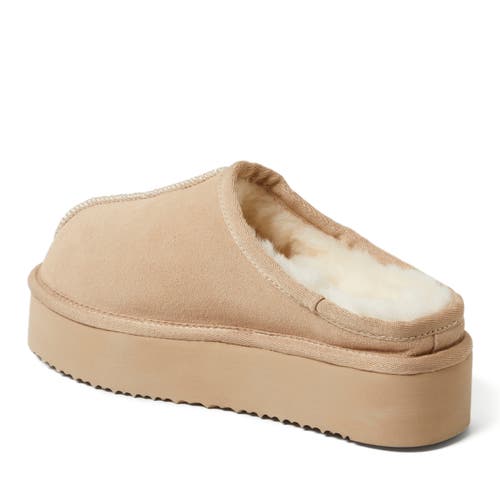 Dearfoams Fireside Queenstown Genuine Shearling Platform Clog Slipper In Sand