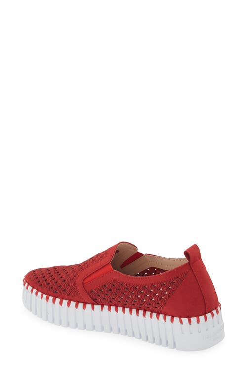 Shop Ilse Jacobsen Tulip Slip-on Sneaker In Red