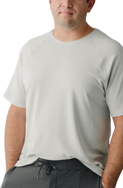 Ultrasoft Raglan T-Shirt in Light Grey