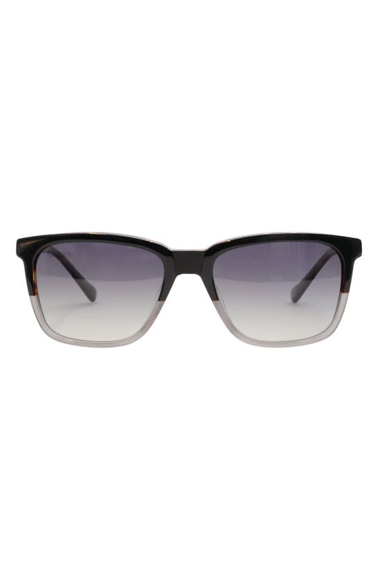 Ted Baker Square Polarized Sunglasses In Black