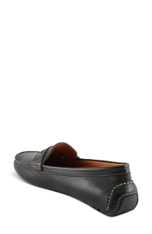 Spring Step Audette Penny Loafer In Black