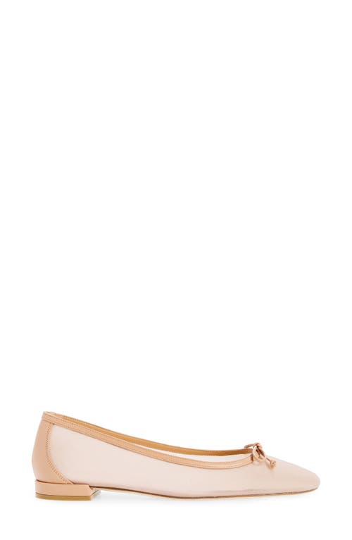 Shop Stuart Weitzman Arabella Ballet Flat In Ginger