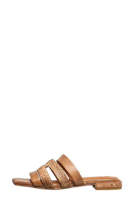 Shop Antelope Adalyn Slide Sandal In Taupe Leather