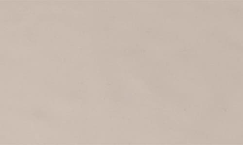 Fable The Salad Plates Set Of 4 In Desert Taupe