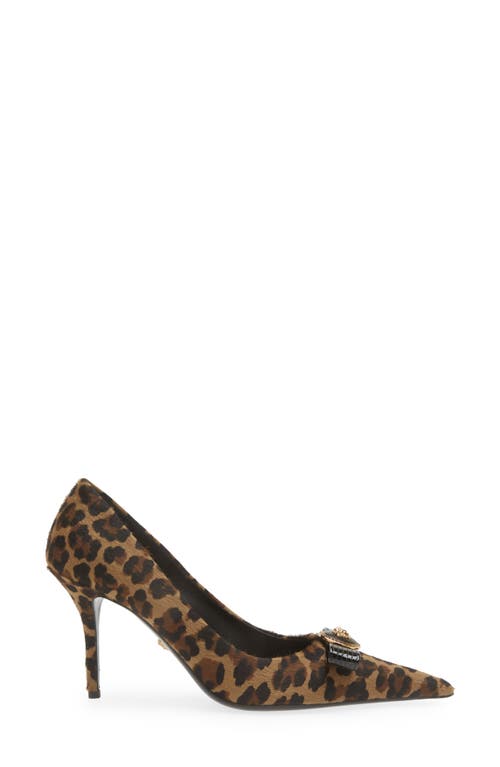 Shop Versace Leopard Genuine Calf Hair Bow Pointed Toe Pump In Brown Black Gold