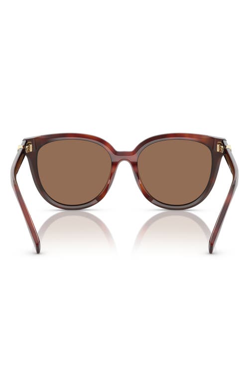 Tory Burch 56mm Phantos Sunglasses In Dark Brown
