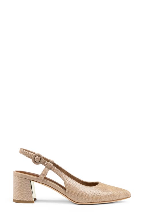 Shop Donald Pliner Song Slingback Pointed Toe Pump In Sand